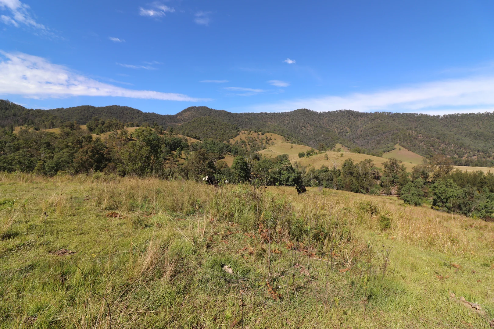 Additional image 13 of 2 Lower Creek Rd, Lower Creek NSW 2440