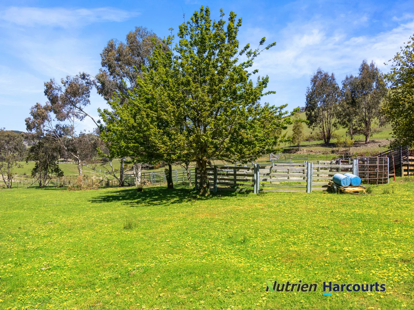 Additional image 19 of 356 Mcnallys Road, Strath Creek VIC 3658