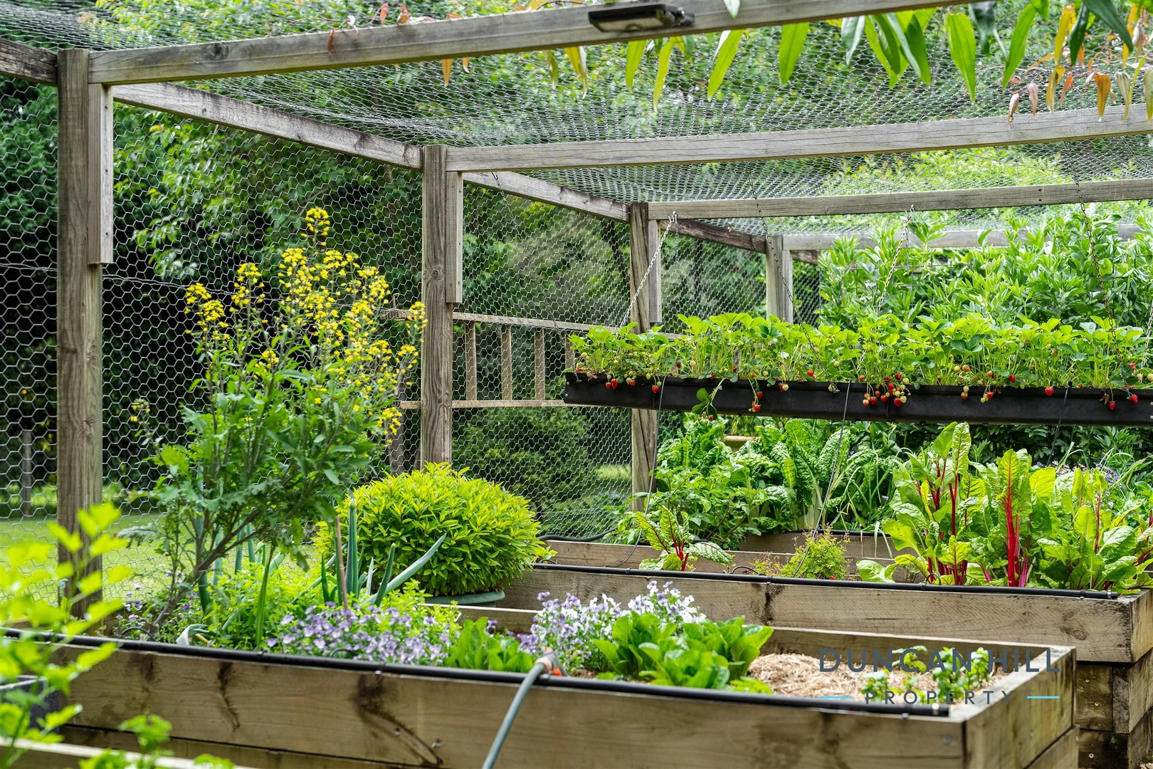 Additional image 12 of 42 Charlotte Street, Burradoo NSW 2576