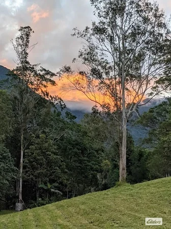 Additional image 24 of 185 Stoddarts Road, Tyalgum Creek NSW 2484