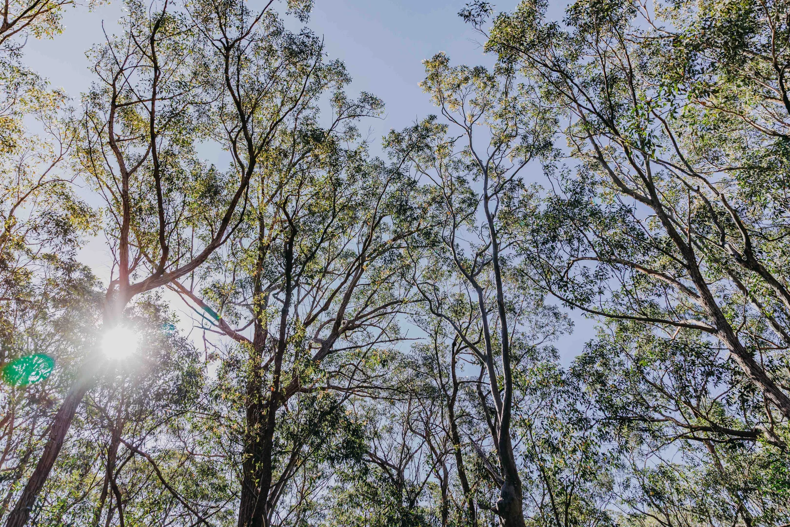 Additional image 20 of 23 Uffington Road, Duns Creek NSW 2321