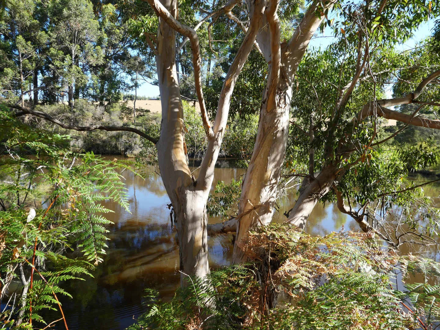Additional image 2 of 61 Hayes Road, East Nannup WA 6275