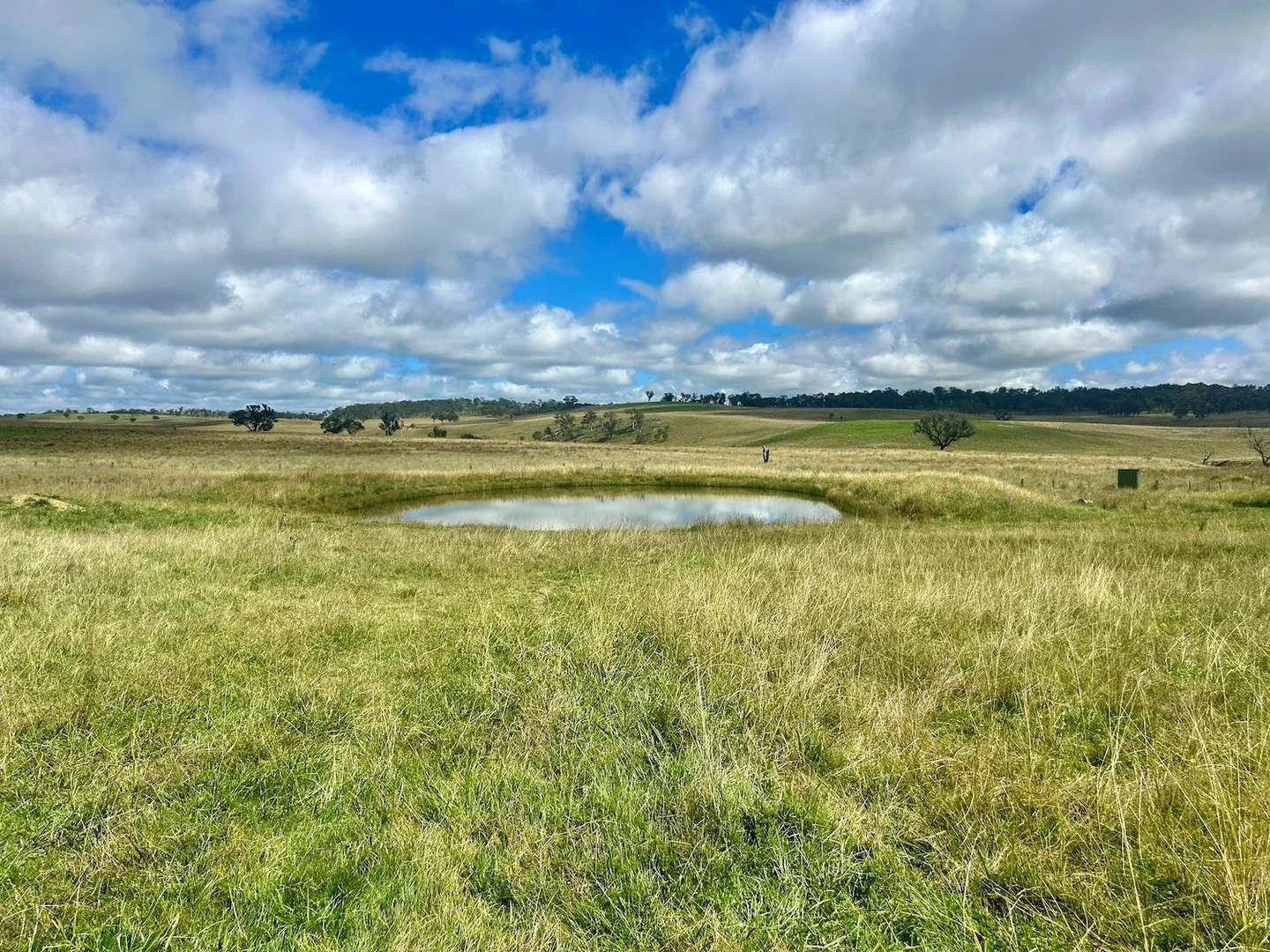 Additional image 20 of 1815 Hillview Road, Uralla NSW 2358