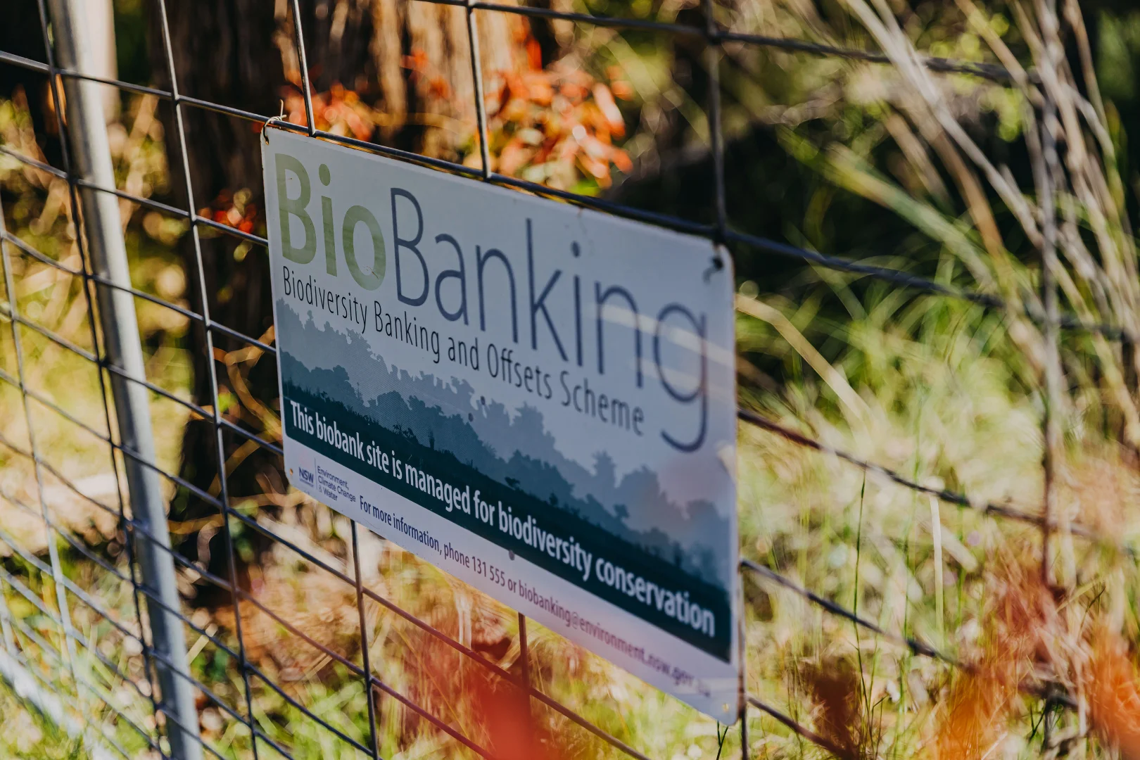 Additional image 24 of 23 Uffington Road, Duns Creek NSW 2321