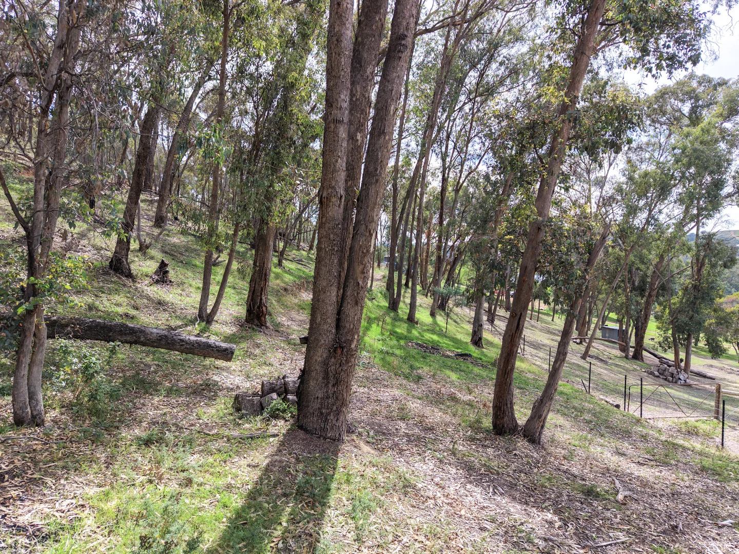 Additional image 28 of 14 Bluegum Crescent, Bonnie Doon VIC 3720