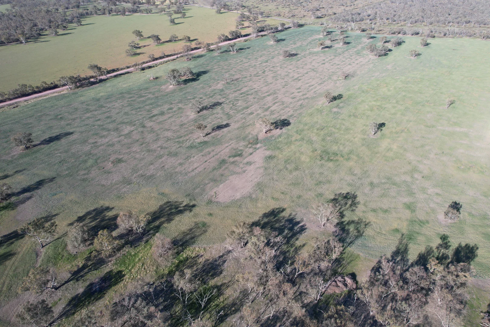 Additional image 3 of 1404 Lake Cowal, Forbes NSW 2871