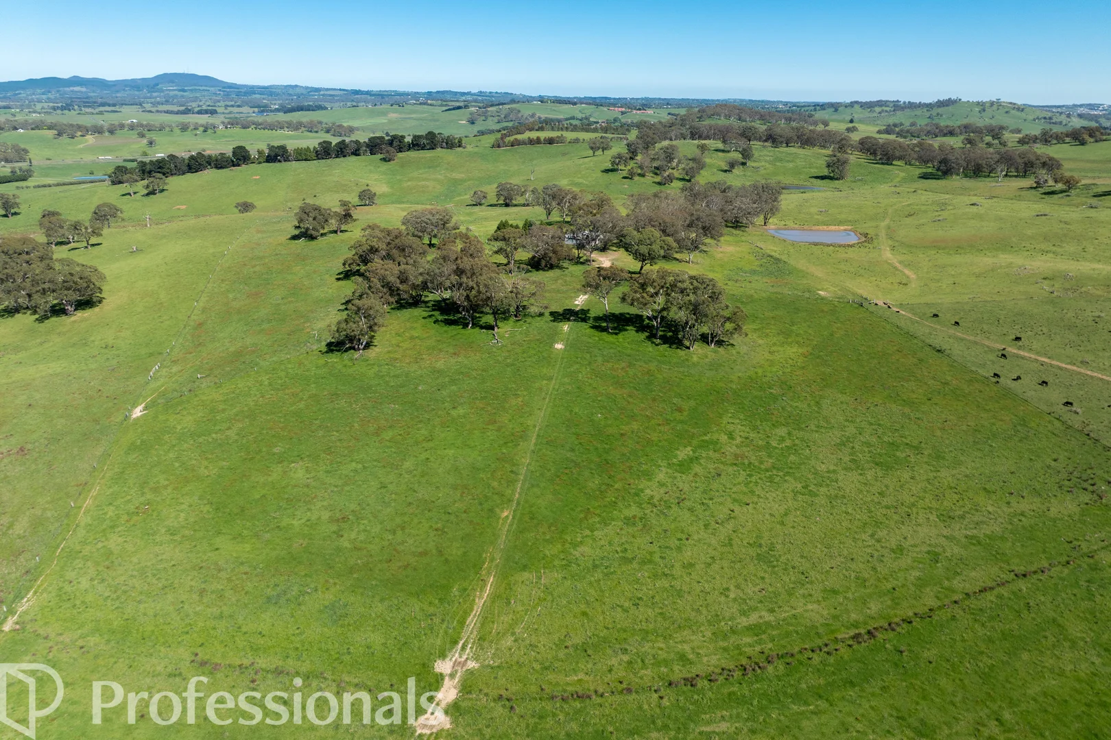 Additional image 27 of 225 Emu Swamp Road, Orange NSW 2800