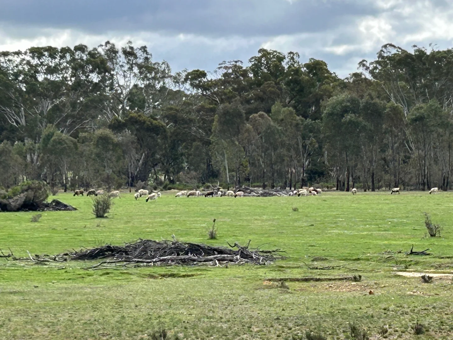 Additional image 2 of 104 Parkers Road, Moliagul VIC 3472