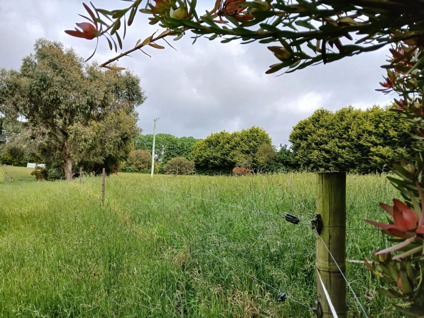 Additional image 11 of 74 Fosters Road, Wynyard TAS 7325