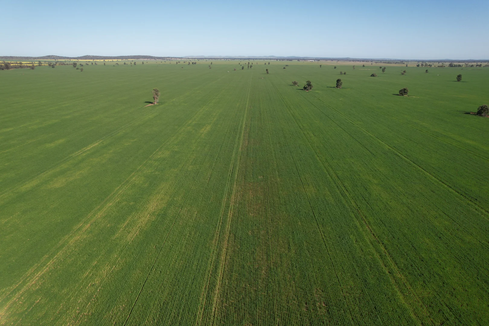 Additional image 22 of 762 Cornells Road, Condobolin NSW 2877