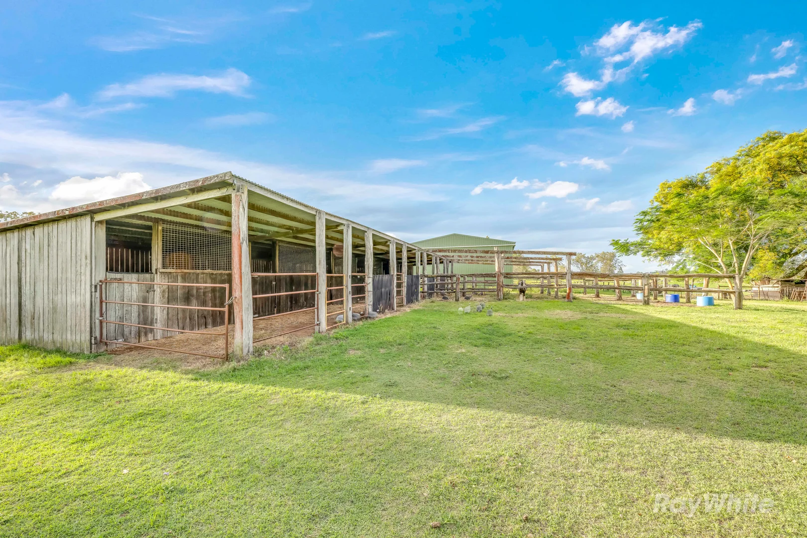 Additional image 30 of 595 Walla Road, Morganville QLD 4671