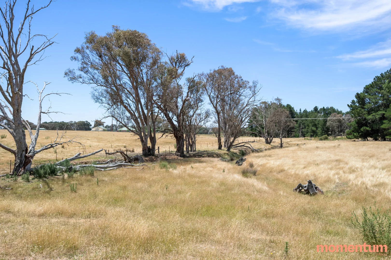 Additional image 45 of 5 Euroka Avenue, Murrumbateman NSW 2582