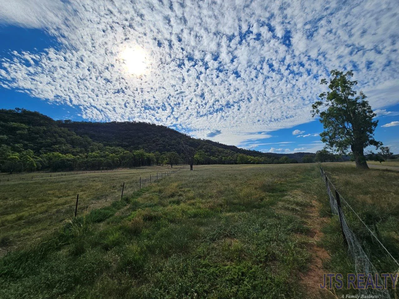 Additional image 9 of 104 Giants Creek Road, Sandy Hollow NSW 2333