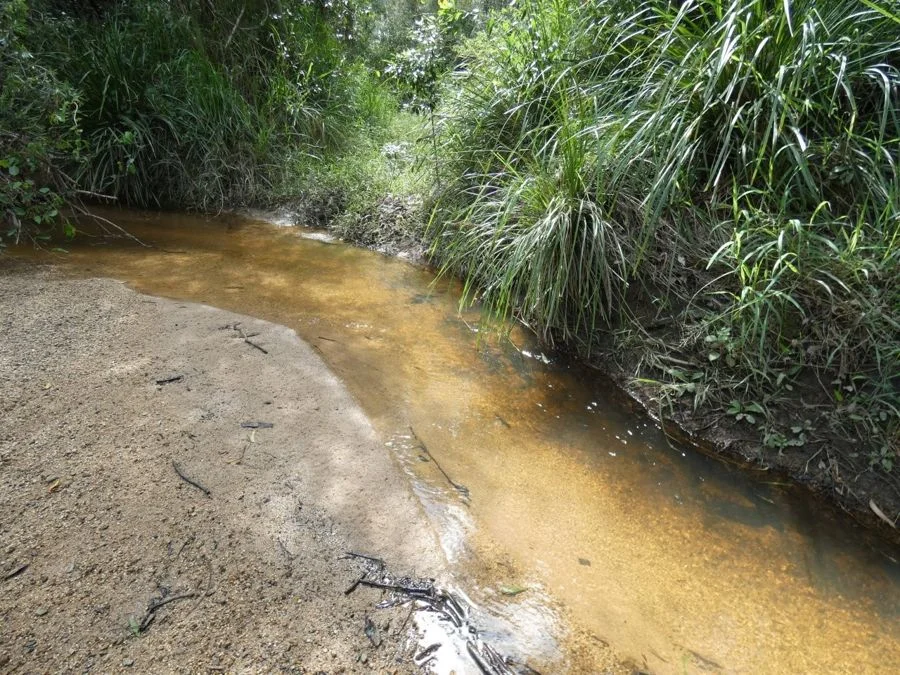 Additional image 31 of 397 Mollenhagens Road, Rosedale QLD 4674