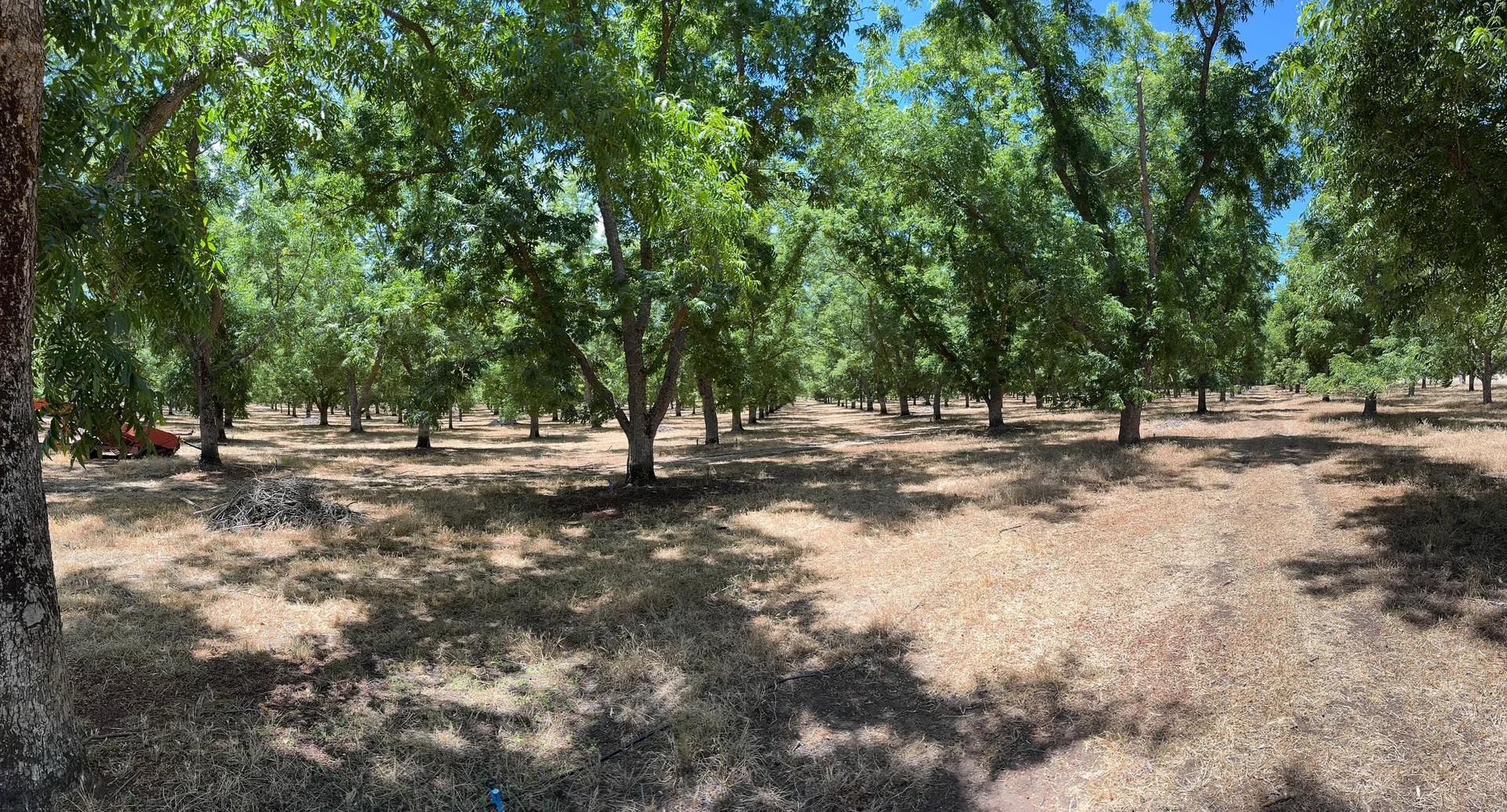 Additional image 12 of 43 Hearle Road, Mumballup WA 6225