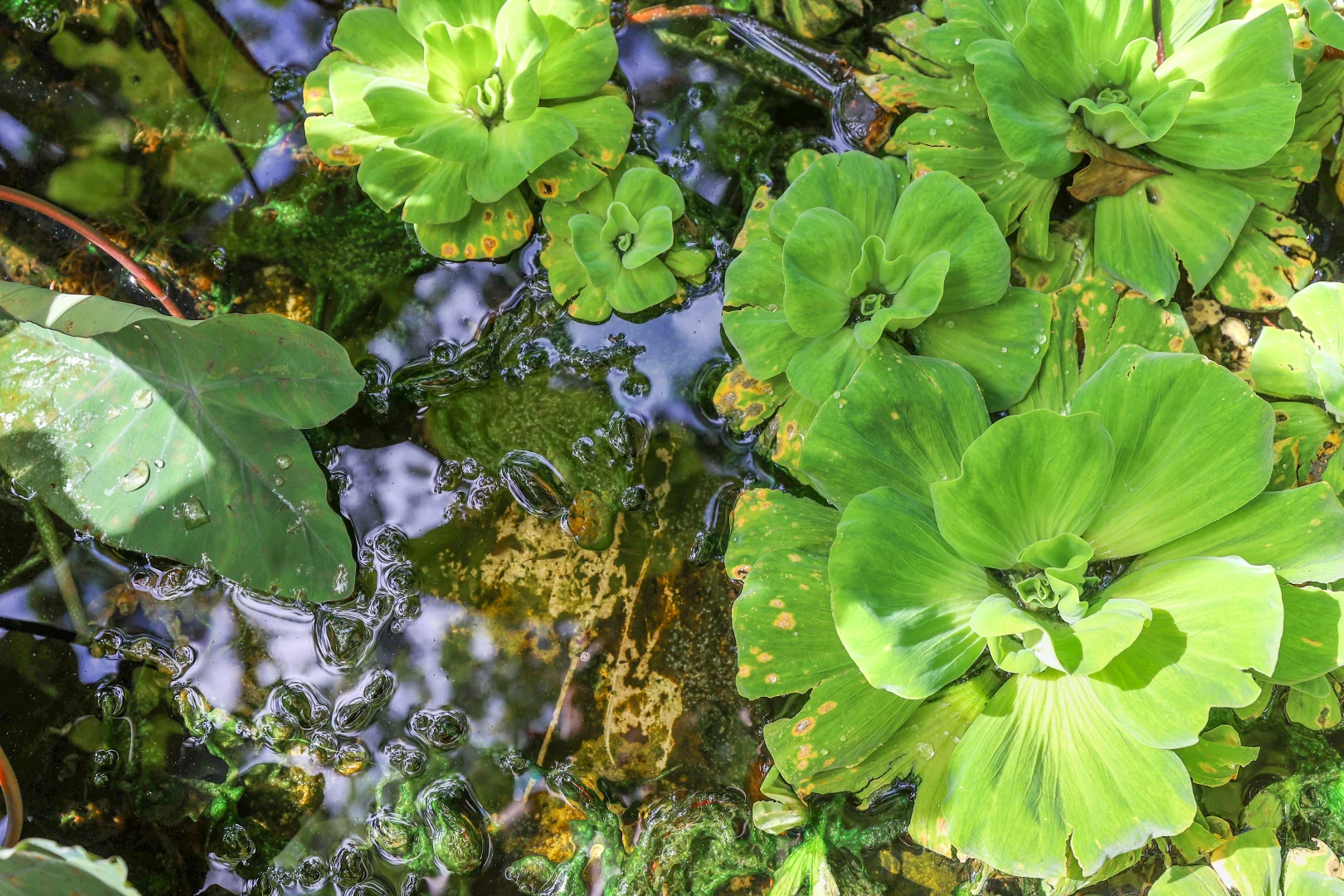 Additional image 28 of 178 McGorrie Road, Marrakai NT 0822