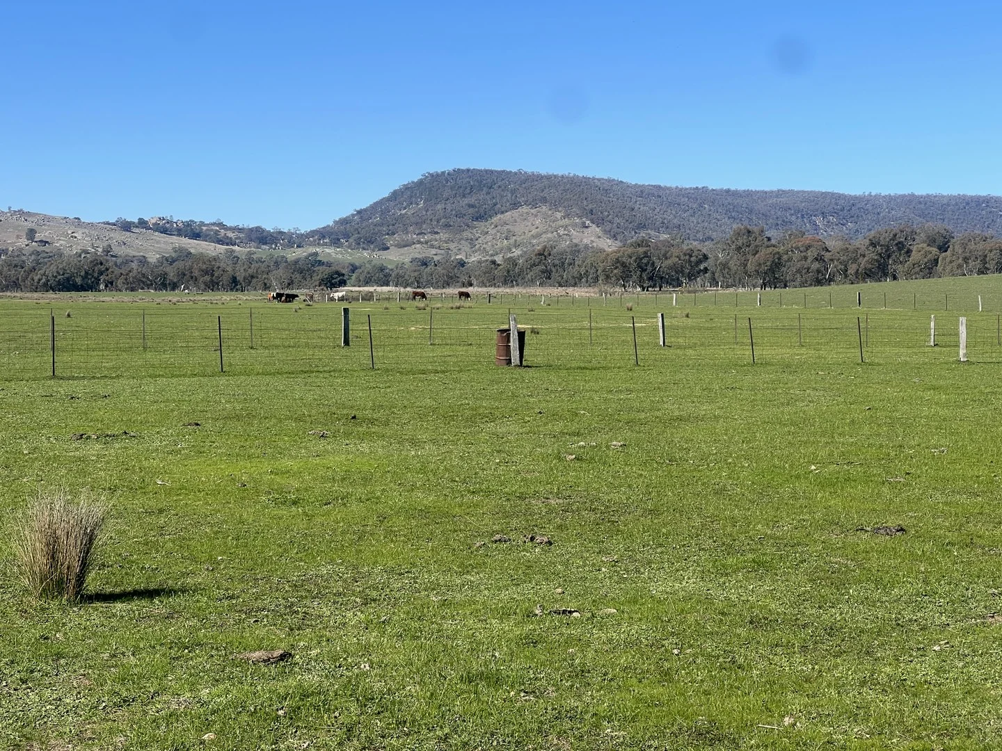Cheesley Gate Road, Indigo Valley VIC 3688