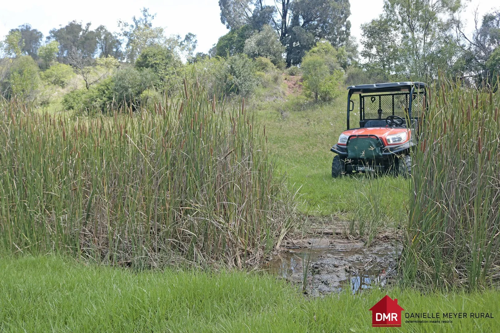 Additional image 23 of 205 Dempsters Road,, Binjour QLD 4625