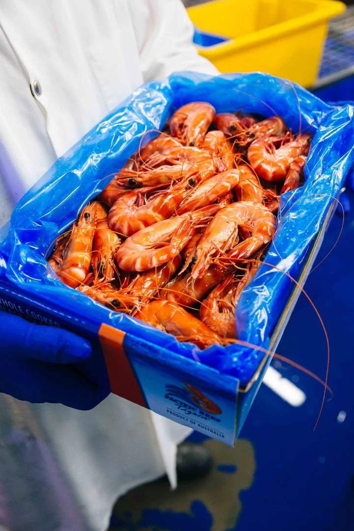 Additional image 6 of Alva QLD 4807