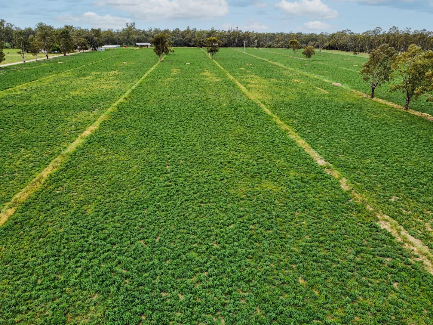 Additional image 29 of 135 Kennedys Road, Cohuna VIC 3568