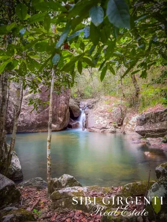 Additional image 25 of 238 Hemmings Lane, Upper Barron QLD 4883