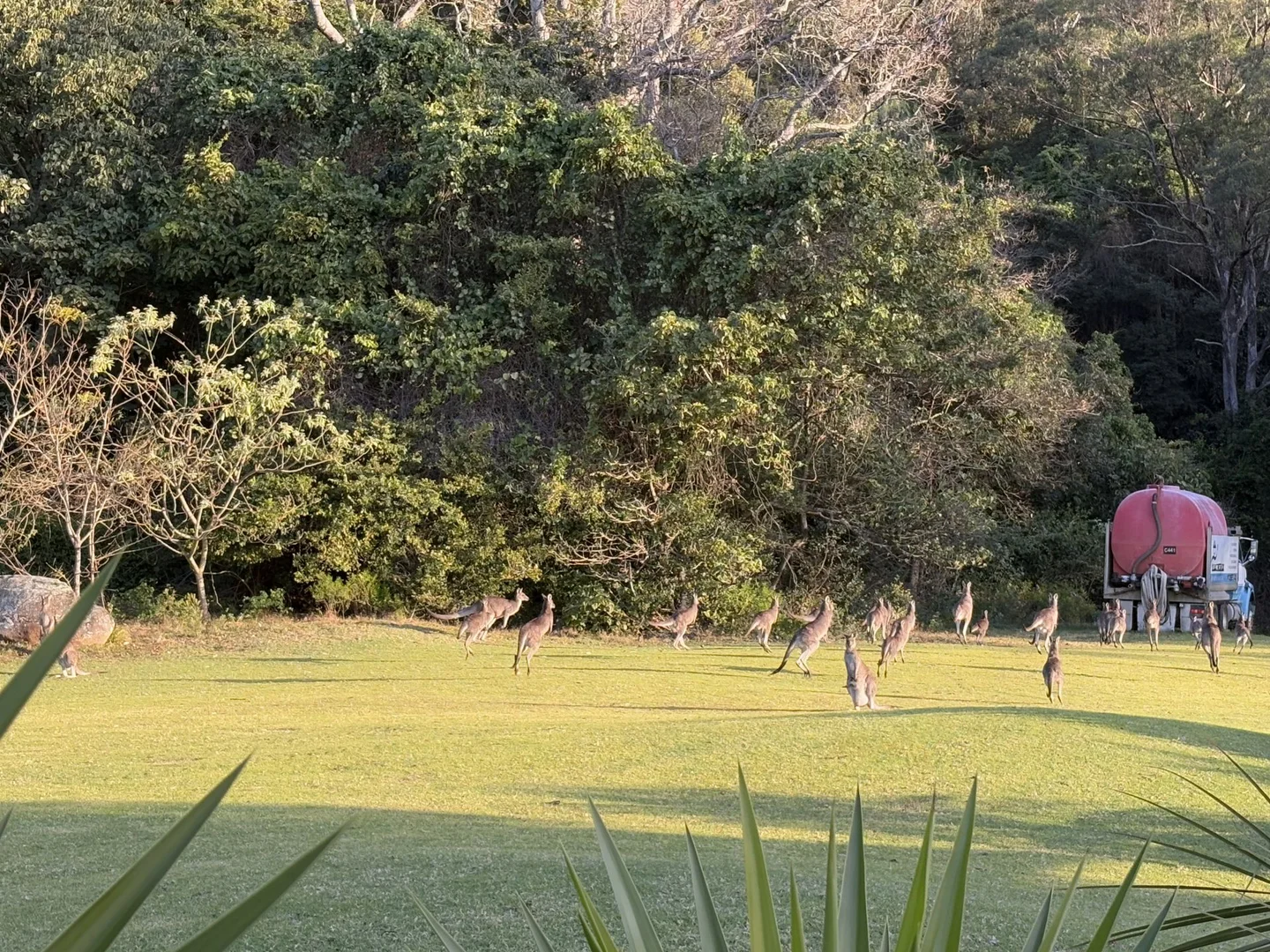 Additional image 16 of 65b Marden Lane, Kangaroo Valley NSW 2577