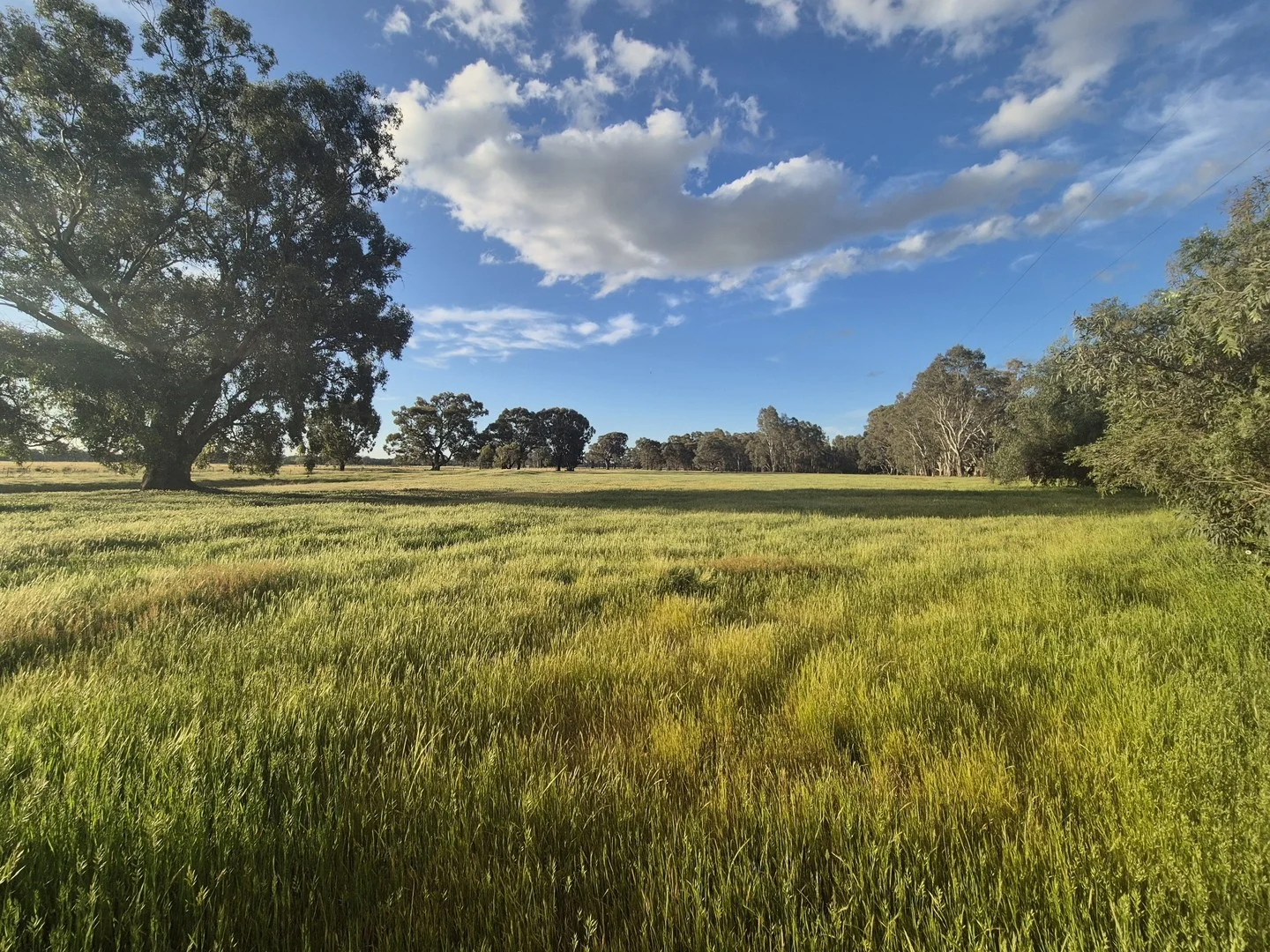 Additional image 2 of 50 Ramage Road, Violet Town VIC 3669