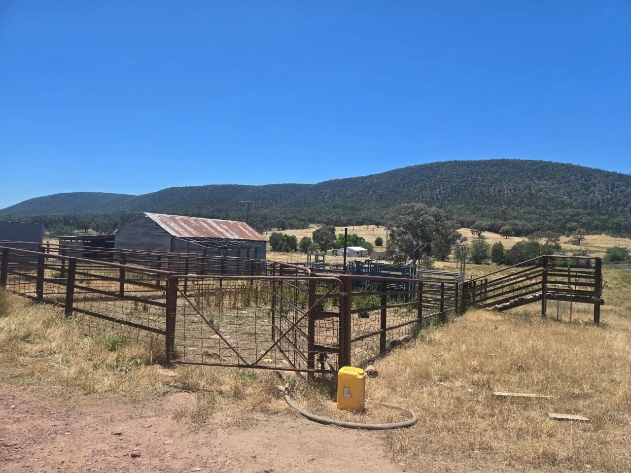 Additional image 21 of "Abercorn", 2154 Kangarooby Road, Gooloogong NSW 2805