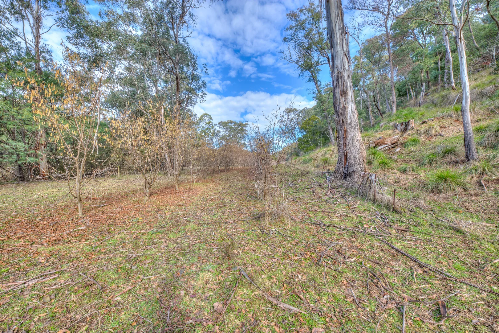 Additional image 6 of 828 Morses Creek Road, Wandiligong VIC 3744