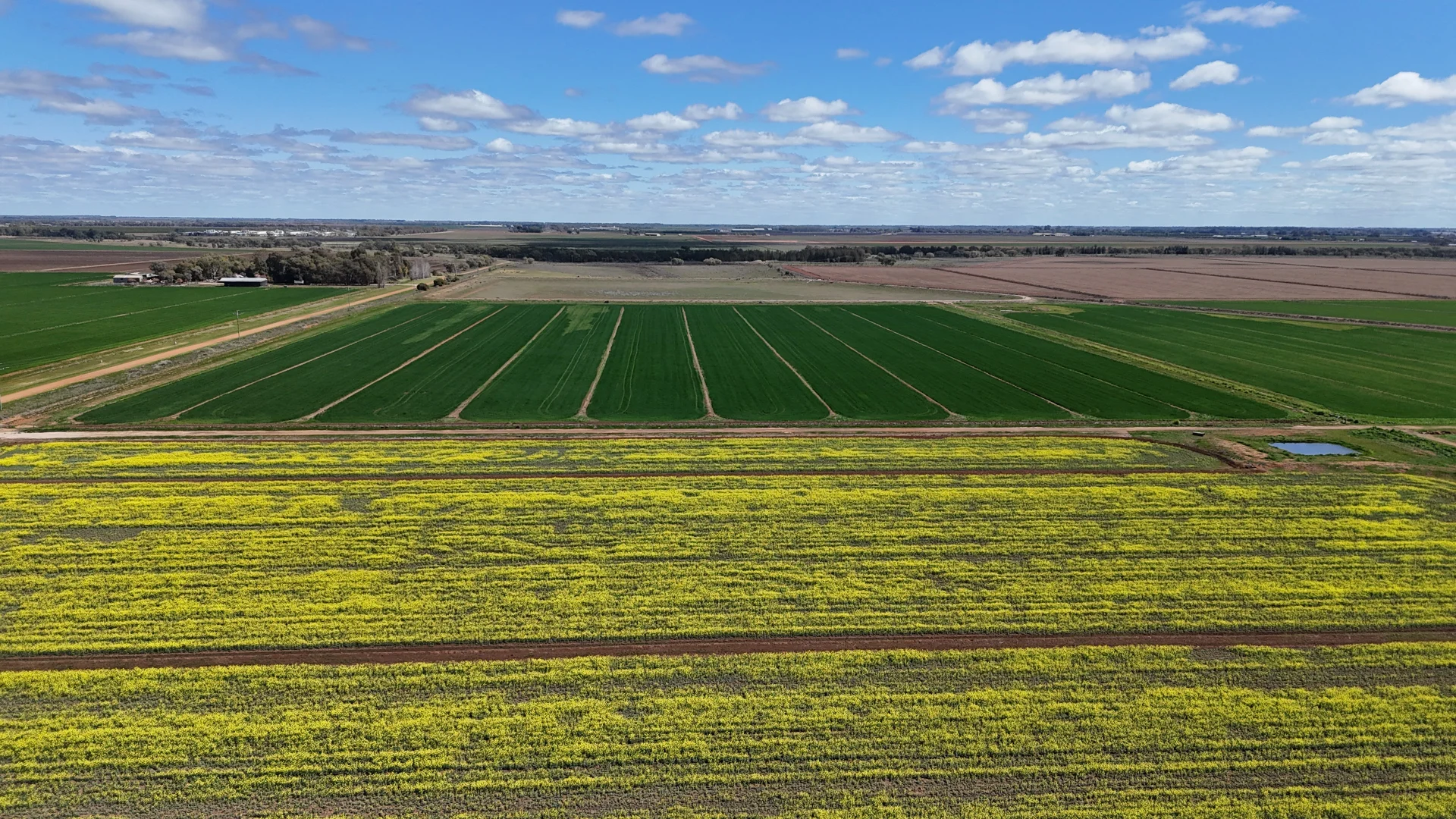 Additional image 8 of Farm 2526/408 Cashmere Road, Widgelli NSW 2680