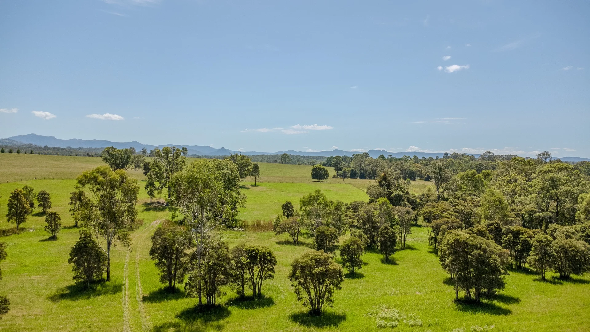 Additional image 10 of 64 Mooral Creek Road, Cedar Party NSW 2429