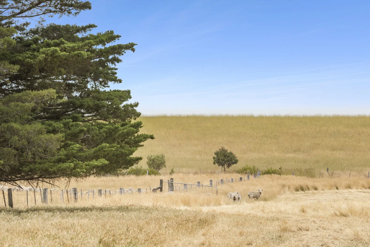 Additional image 6 of 695 Reservoir Road, Mount Moriac VIC 3240