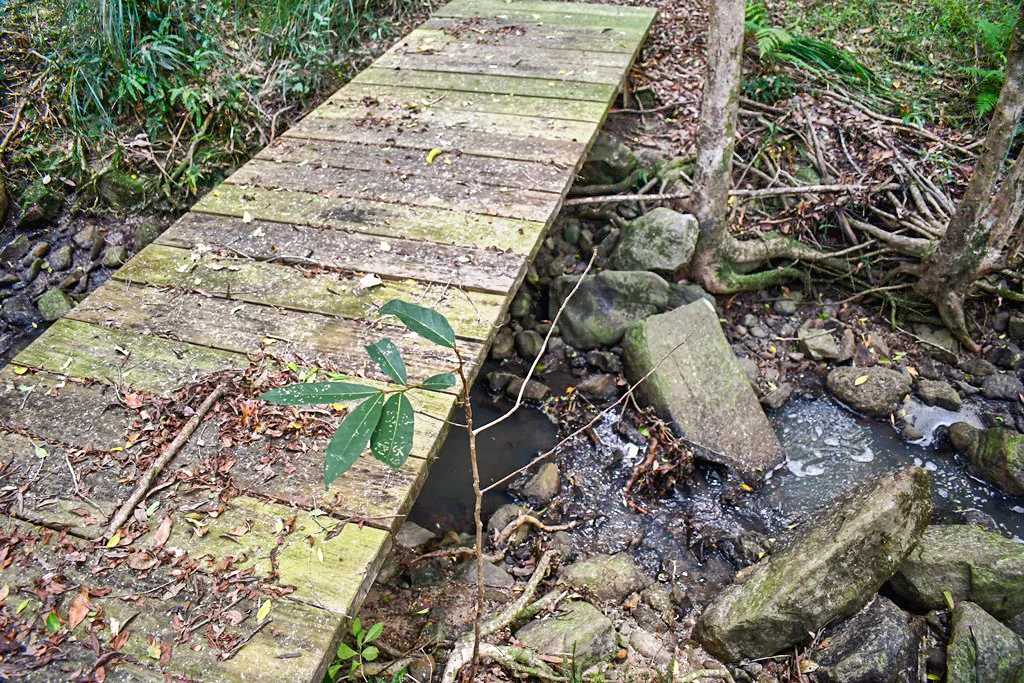 Additional image 23 of 293 Stewart Road, Coondoo QLD 4570