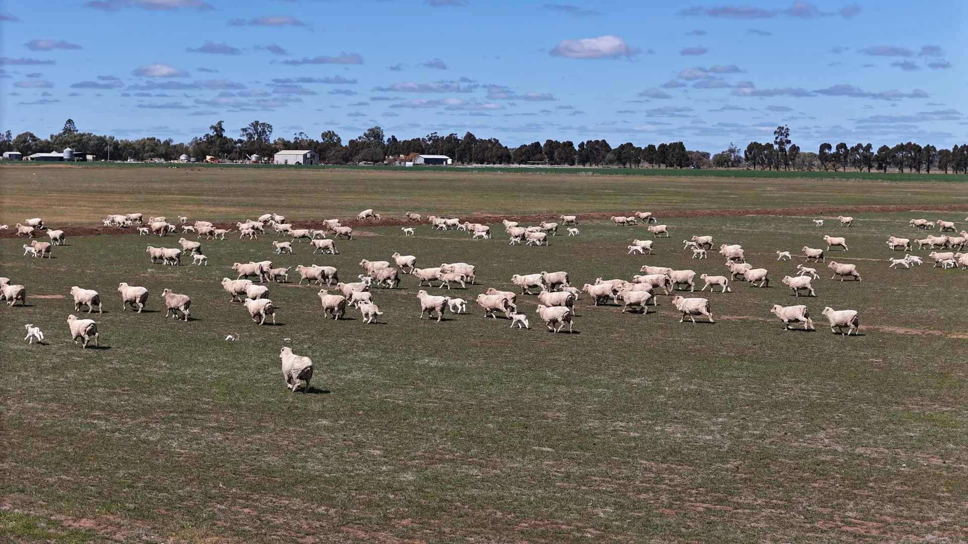 Additional image 19 of Farm 2526/408 Cashmere Road, Widgelli NSW 2680