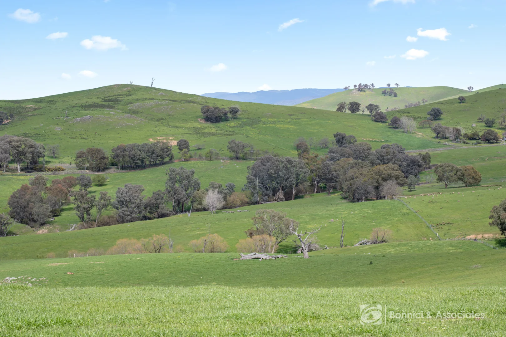 Additional image 9 of BARTLETTS Springdale Road, Bethanga VIC 3691