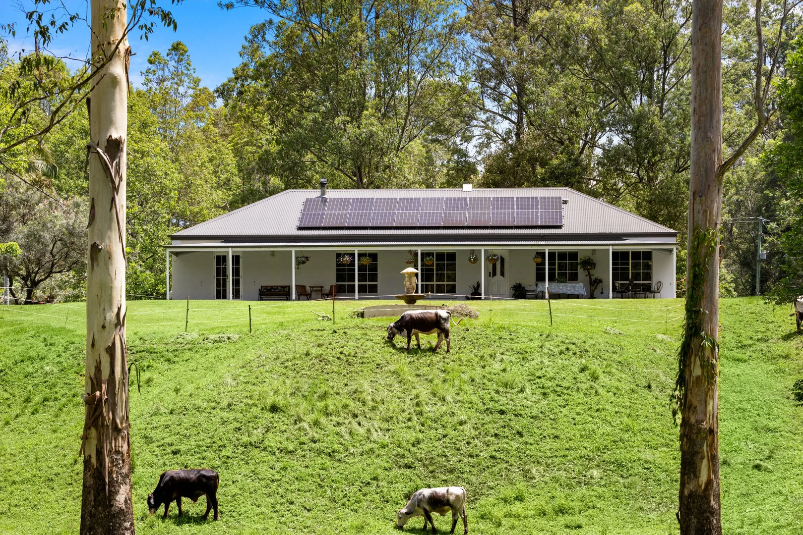 Additional image 2 of 737 Smiths Creek Road, Smiths Creek, Kyogle NSW 2474