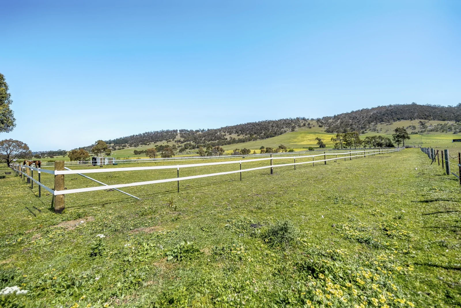 Additional image 21 of 1455 Midland Highway, Bagdad TAS 7030