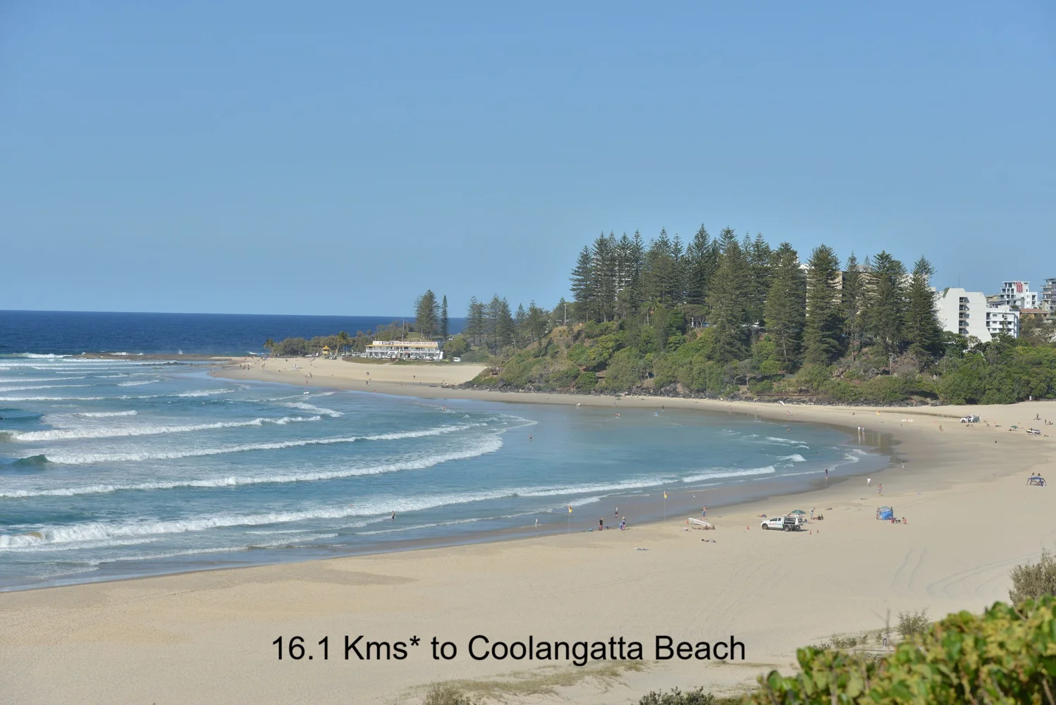 Additional image 15 of 487 Carool Road, Carool NSW 2486