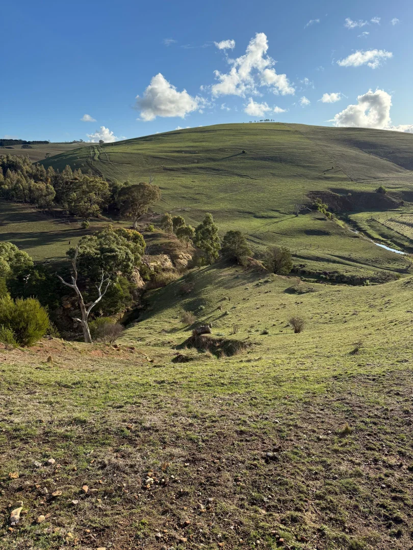 Additional image 9 of 499 Swans Rd, Darley VIC 3340