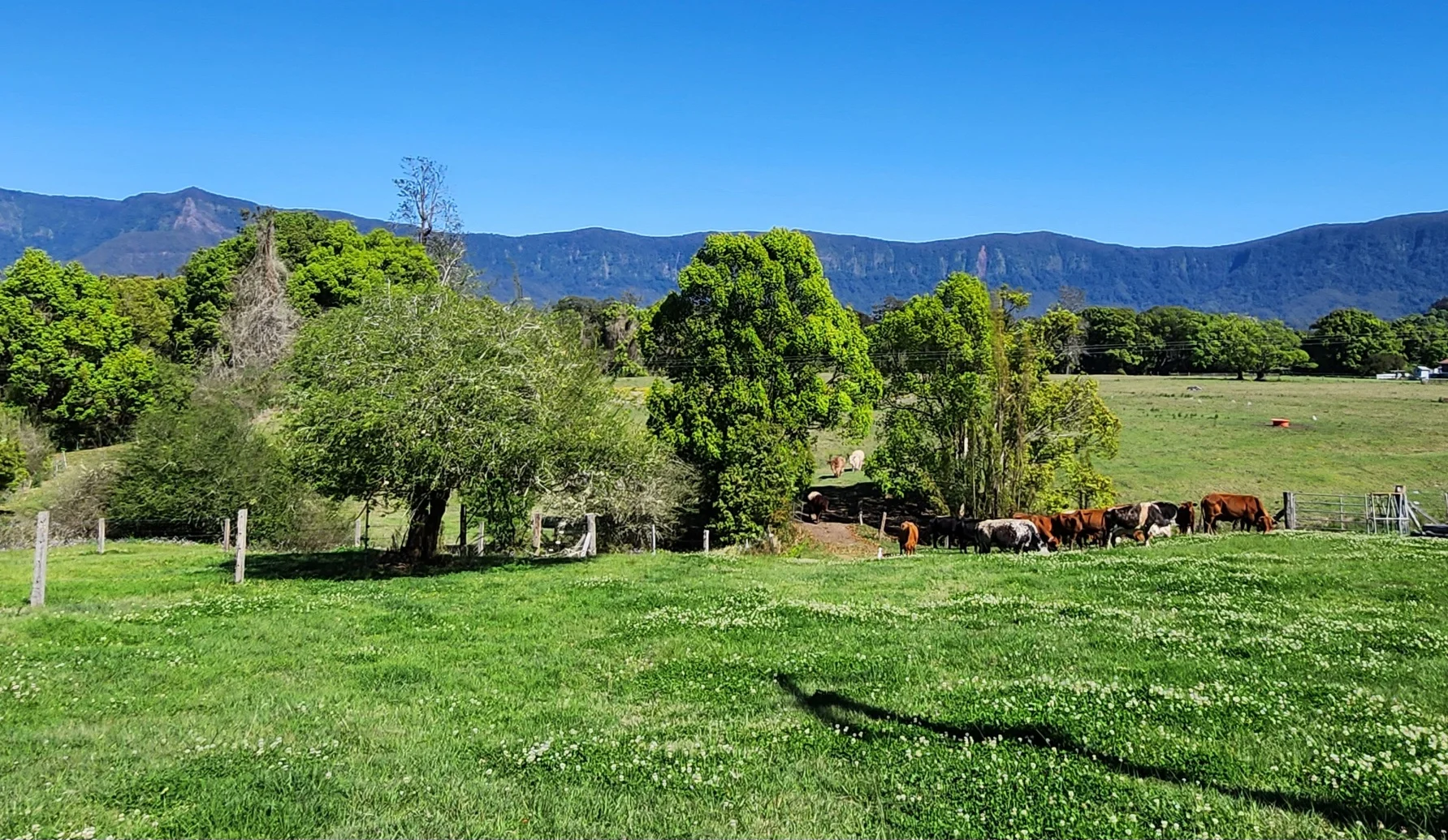 Additional image 19 of 30 Larkins Road, Tyalgum NSW 2484