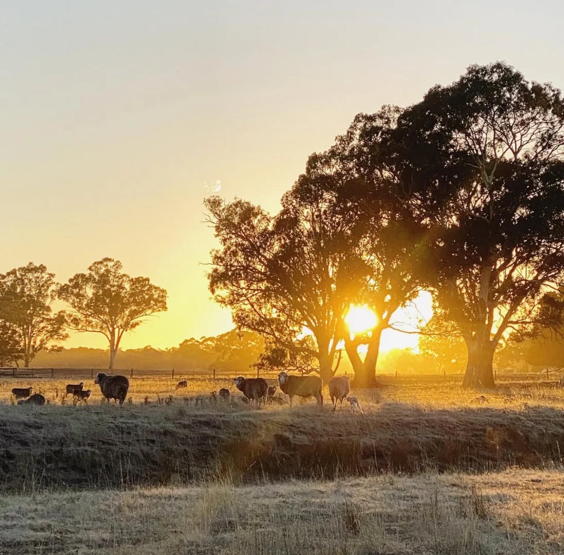 Additional image 5 of Lot/11 Casterton Apsley Road, Apsley VIC 3319