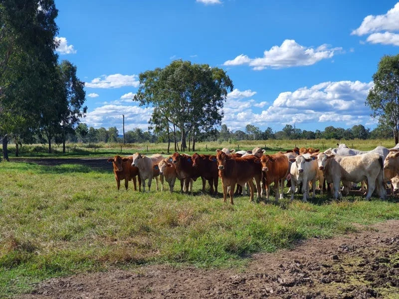 Additional image 14 of 149 Airport Road, Monto QLD 4630