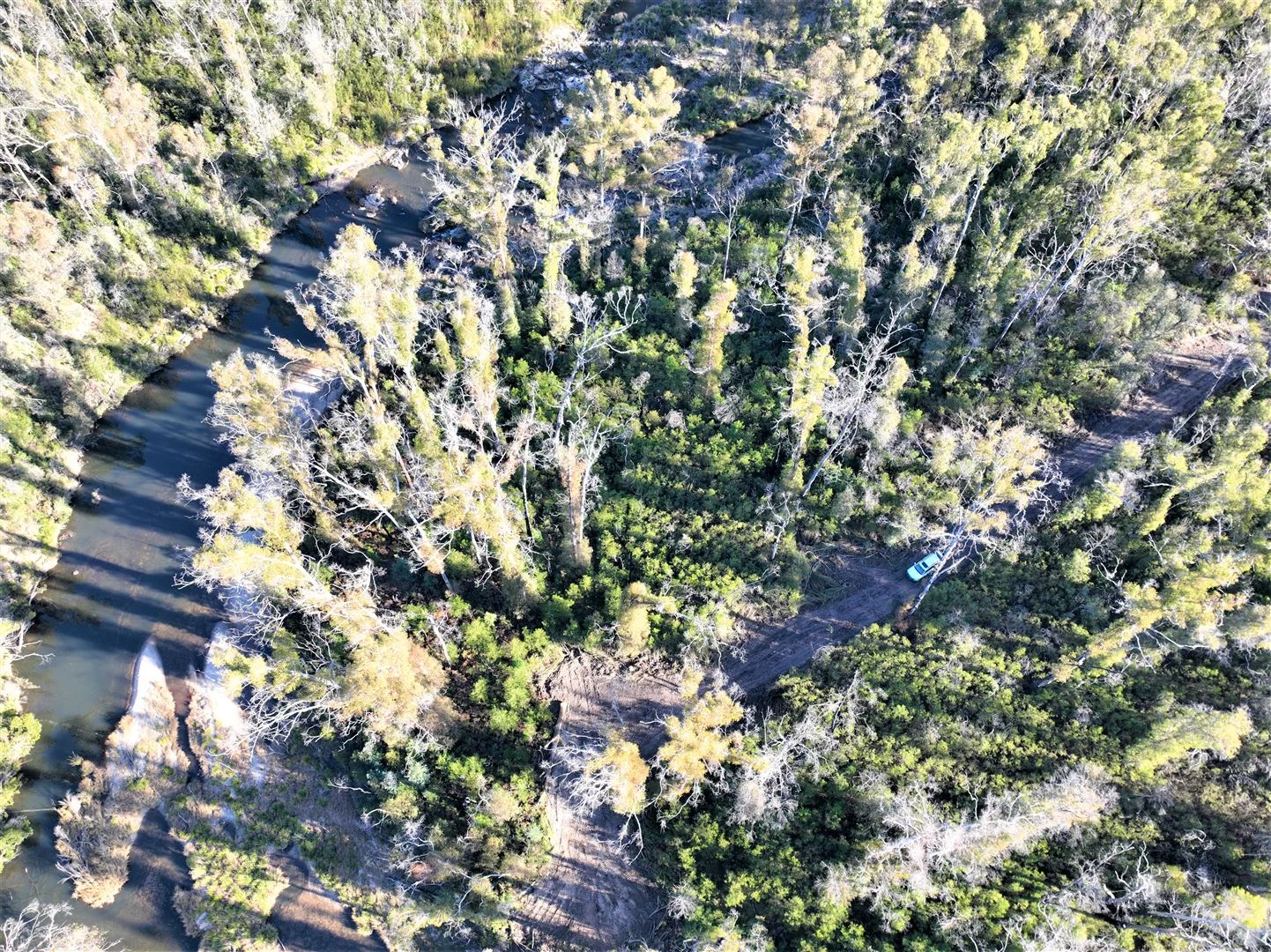 Additional image 19 of Lot 34, 35, 36, 79 Monaro Highway, Rockton NSW 2632