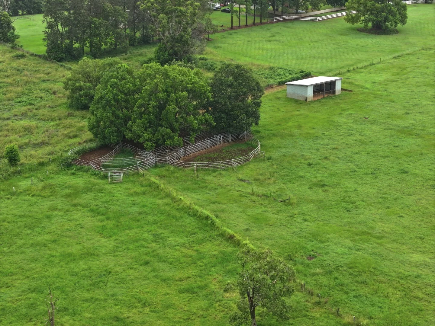 Additional image 9 of 284 Upper Stratheden Road, Kyogle NSW 2474