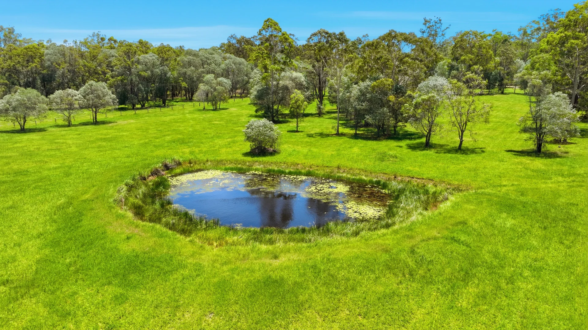 Additional image 31 of 456 Seelands Hall Road, Seelands NSW 2460