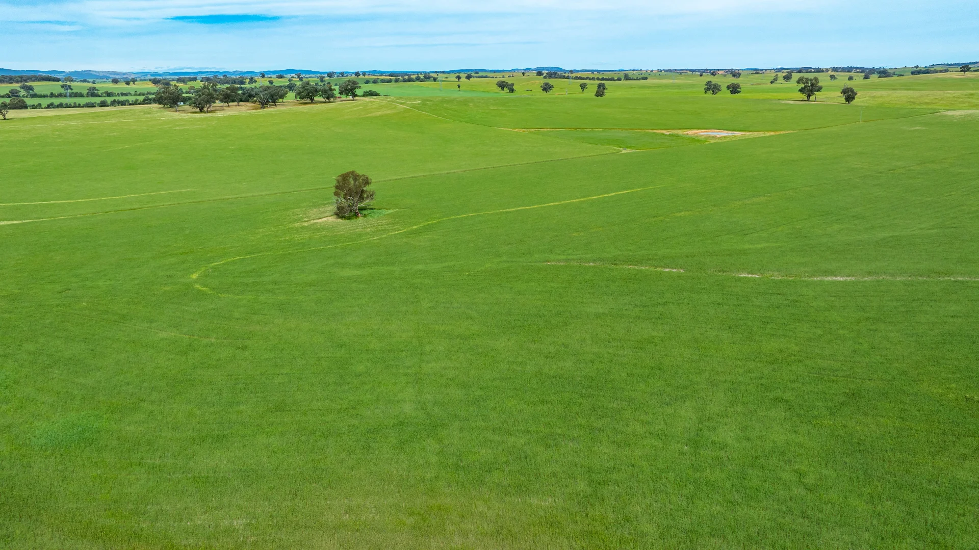 Additional image 10 of 1470 Yerong Creek Mangoplah Road, Mangoplah NSW 2652