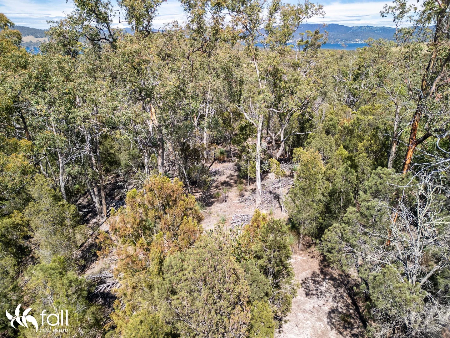 Additional image 5 of 954 Killora Road, North Bruny TAS 7150