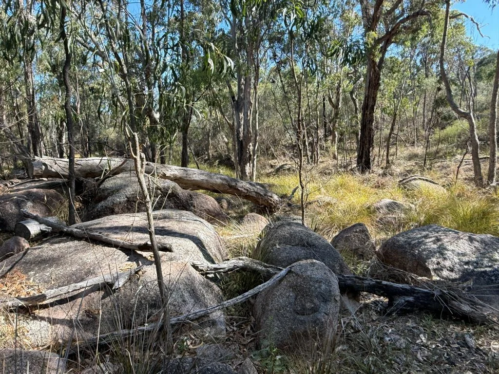 Additional image 40 of 149 Horans Gorge Rd, Fletcher QLD 4381