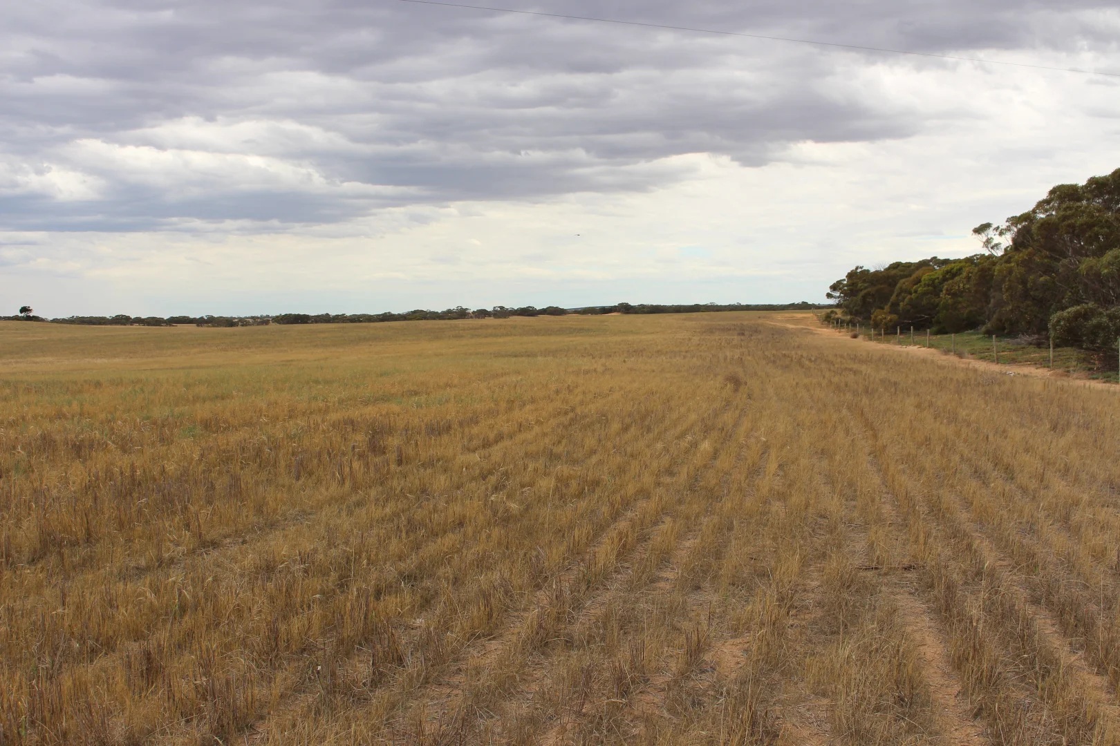 Additional image 4 of Section 95 Geranium North Road, Marama SA 5307