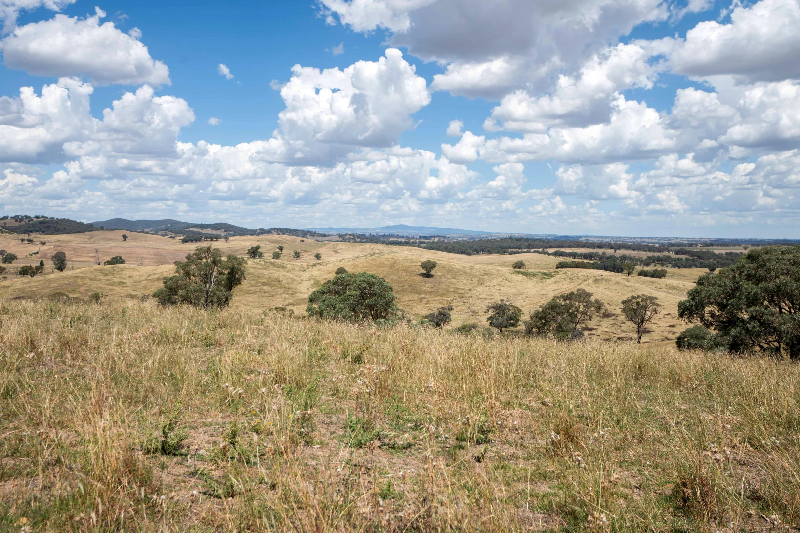 Additional image 22 of 1862 Euchareena Road, Euchareena NSW 2866